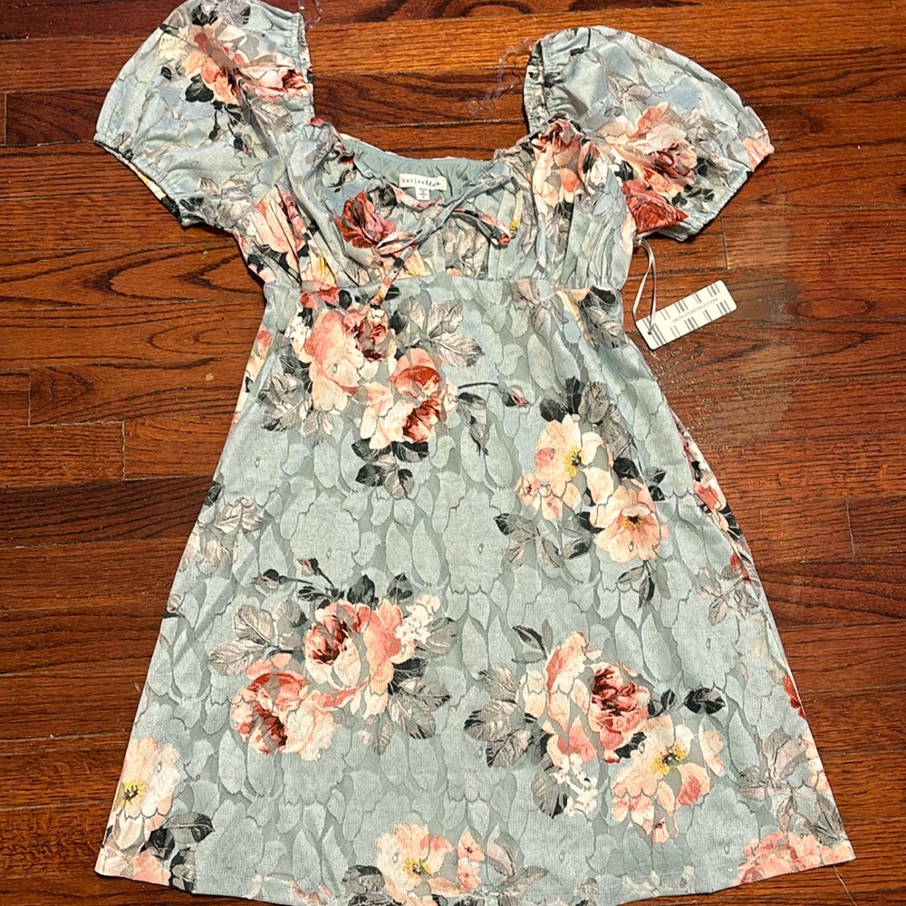 Bailey Blue Dress